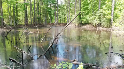 View/Area - 3112 W Highway 98, Summit, MS 39666 photo 2 of 3