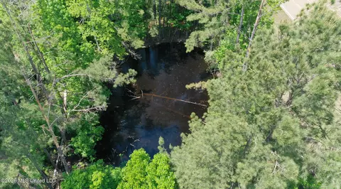 View/Area - 3112 W Highway 98, Summit, MS 39666 photo 1 of 3
