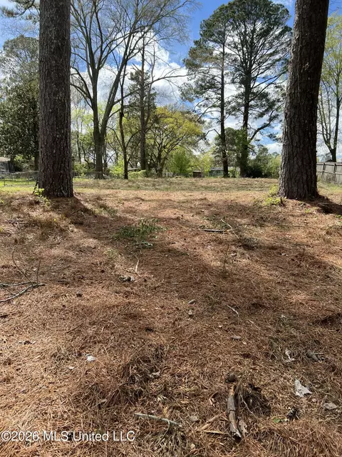 4319 Liberty Hill Rd, Jackson, MS 39206 photo 2