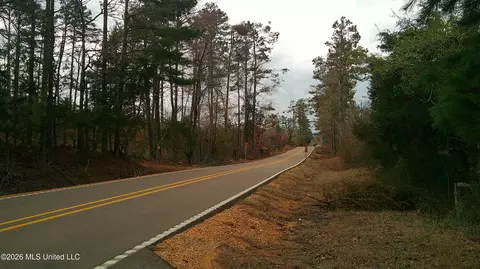 6259 Mississippi 5, Hickory Flat, MS 38633 photo 8