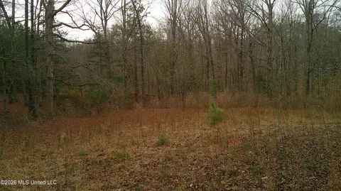 6259 Mississippi 5, Hickory Flat, MS 38633 photo 13