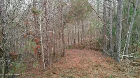 6259 Mississippi 5, Hickory Flat, MS 38633 photo 10