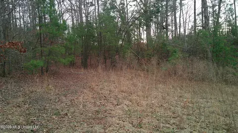 6259 Mississippi 5, Hickory Flat, MS 38633 photo 16
