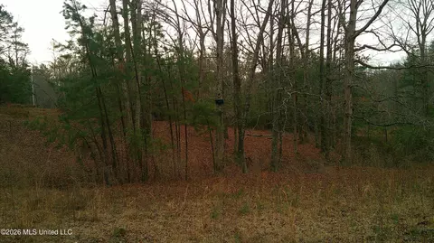 6259 Mississippi 5, Hickory Flat, MS 38633 photo 14