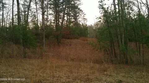 6259 Mississippi 5, Hickory Flat, MS 38633 photo 15