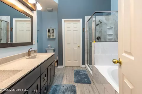 Bath - 2382 Oak Creek Dr, Hernando, MS 38632 photo 2 of 7