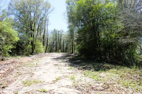 1 7 Acres Oakhaven Dr, Lucedale, MS 39452