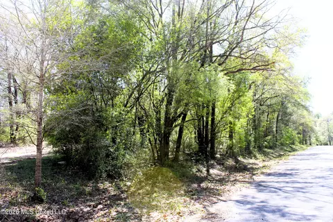 1 7 Acres Oakhaven Dr, Lucedale, MS 39452 photo 2