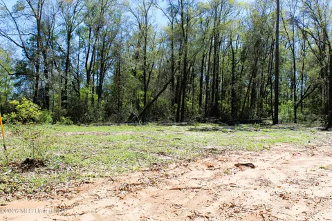 1 7 Acres Oakhaven Dr, Lucedale, MS 39452 photo 3