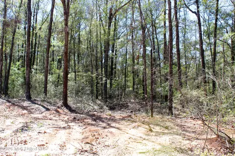 1 7 Acres Oakhaven Dr, Lucedale, MS 39452 photo 4