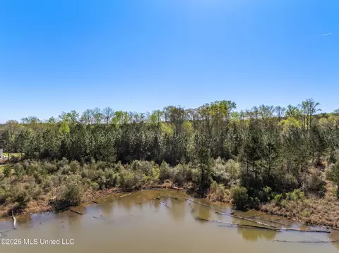 0 Fairwinds Path, Sumrall, MS 39482 photo 9