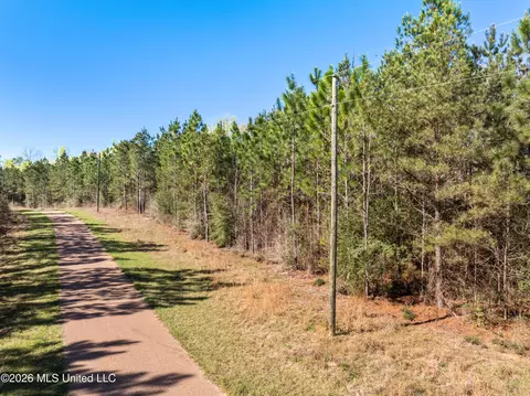 0 Fairwinds Path, Sumrall, MS 39482 photo 6