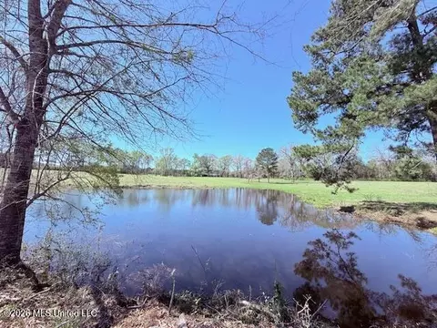 Sanders Road, Kentwood, LA 70444