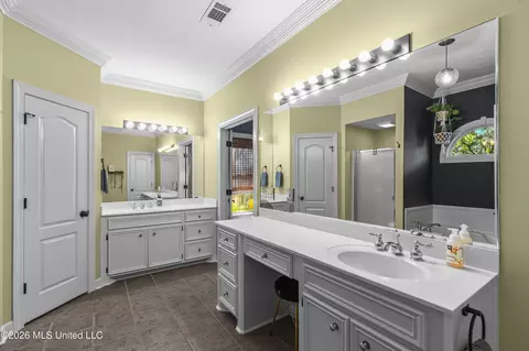 Bath - 69 Moss Woods Dr, Madison, MS 39110 photo 3 of 5
