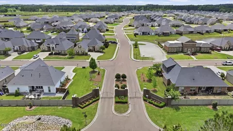 View/Area - 140 Palace Xing, Flowood, MS 39232 photo 10 of 10