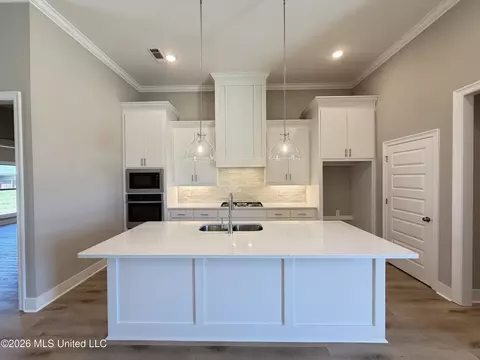 Kitchen - 142 Palace Xing, Flowood, MS 39232 photo 1 of 2