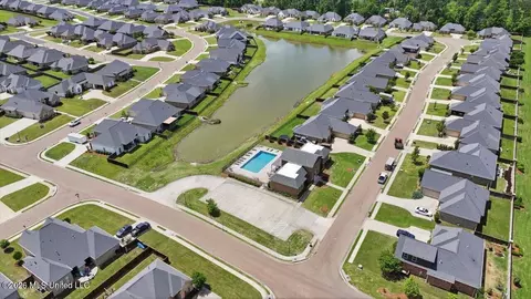 View/Area - 142 Palace Xing, Flowood, MS 39232 photo 4 of 10
