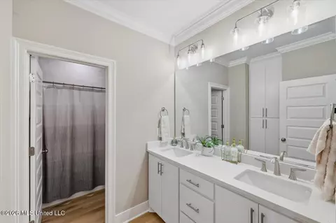 Bath - 142 Palace Xing, Flowood, MS 39232 photo 3 of 4