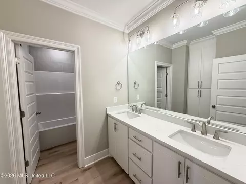 Bath - 142 Palace Xing, Flowood, MS 39232 photo 7 of 8