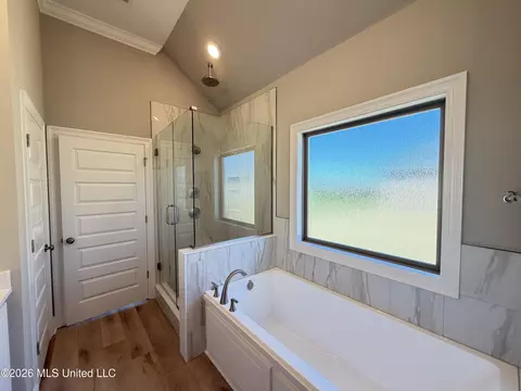 Bath - 142 Palace Xing, Flowood, MS 39232 photo 5 of 8