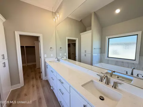 Bath - 142 Palace Xing, Flowood, MS 39232 photo 2 of 8