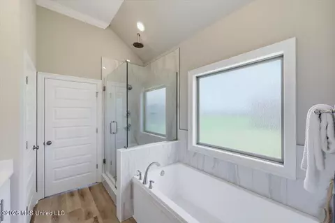 Bath - 142 Palace Xing, Flowood, MS 39232 photo 2 of 4