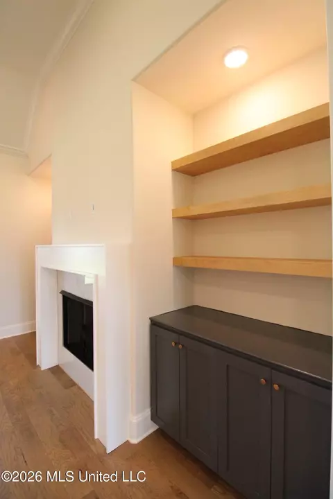 Other - 4232 Brooke Dr, Nesbit, MS 38651 photo 4 of 7