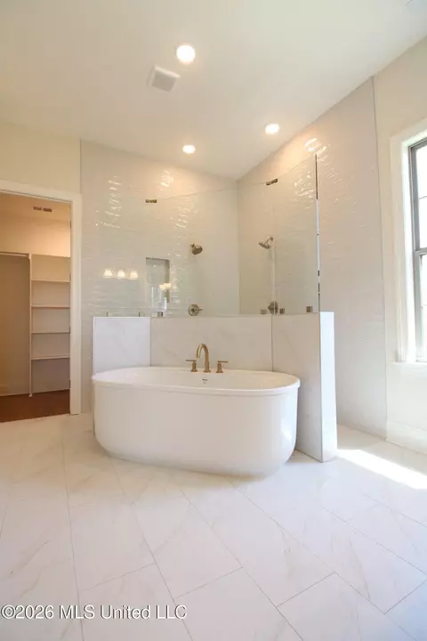 Bath - 4232 Brooke Dr, Nesbit, MS 38651 photo 1 of 5