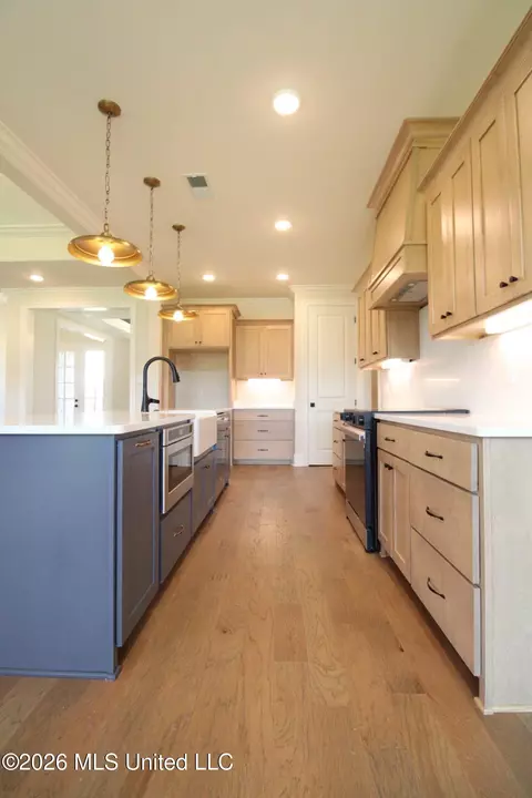 Kitchen - 4232 Brooke Dr, Nesbit, MS 38651 photo 2 of 3