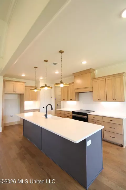 Kitchen - 4232 Brooke Dr, Nesbit, MS 38651 photo 1 of 3