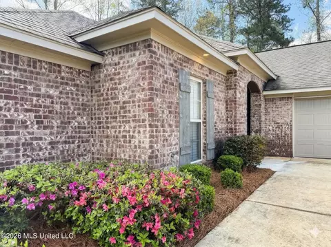 Exterior - 816 Ascham Ct, Pearl, MS 39208 photo 3 of 5