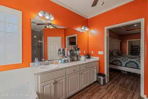 Other - 301 Spring Hill Pt, Brandon, MS 39047 photo 11 of 17
