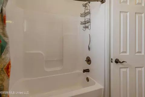 Bath - 301 Spring Hill Pt, Brandon, MS 39047 photo 6 of 7