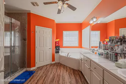 Bath - 301 Spring Hill Pt, Brandon, MS 39047 photo 1 of 7