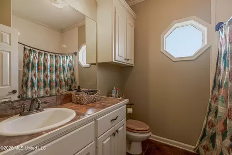 Bath - 301 Spring Hill Pt, Brandon, MS 39047 photo 5 of 7