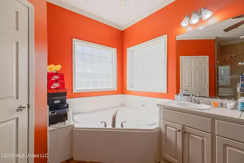 Bath - 301 Spring Hill Pt, Brandon, MS 39047 photo 3 of 7