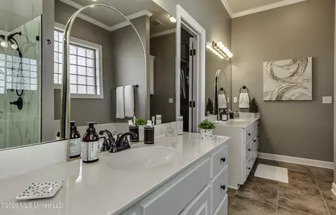 Bath - 1406 Windrose Dr, Brandon, MS 39047 photo 1 of 5