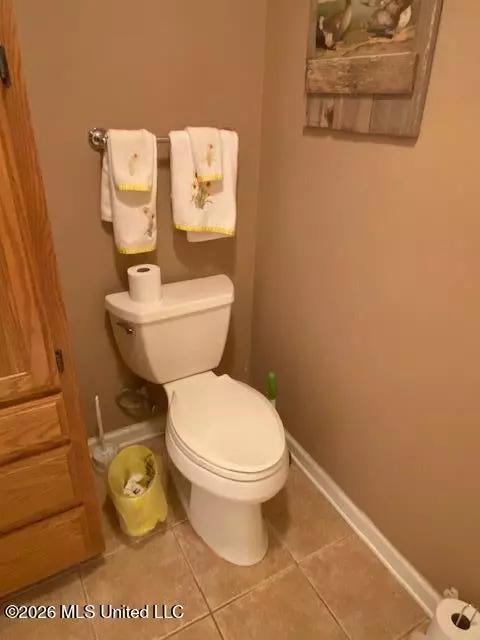 Bath - 1268 S Lake Dr, Hernando, MS 38632 photo 6 of 7