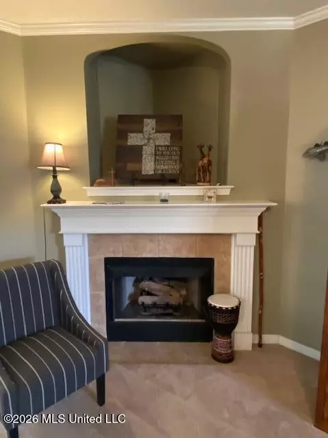 Other - 1268 S Lake Dr, Hernando, MS 38632 photo 4 of 17