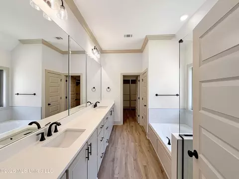Bath - 134 Palace Xing, Flowood, MS 39232 photo 1 of 3