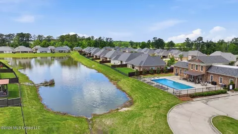 View/Area - 134 Palace Xing, Flowood, MS 39232 photo 6 of 10