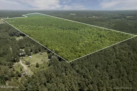 293 Acres Scruggs Rd, Sumrall, MS 39482