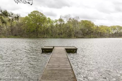 View/Area - 152 Cedar Hill Ln, Flora, MS 39071 photo 5 of 5