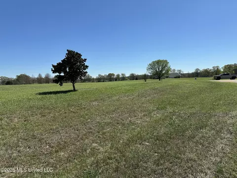 0 Hannahlea Pl, Flora, MS 39071 photo 2
