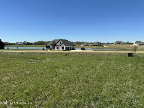 0 Hannahlea Pl, Flora, MS 39071 photo 3