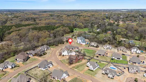 View/Area - 3524 Williams Brooke Ln, Hernando, MS 38632 photo 7 of 12
