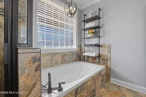 Bath - 3524 Williams Brooke Ln, Hernando, MS 38632 photo 4 of 7