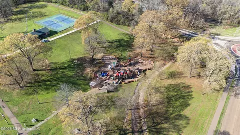 View/Area - 3524 Williams Brooke Ln, Hernando, MS 38632 photo 12 of 12