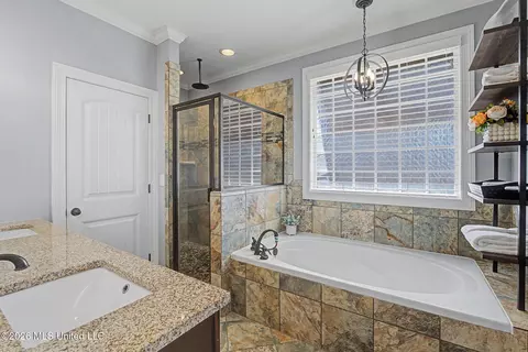 Bath - 3524 Williams Brooke Ln, Hernando, MS 38632 photo 1 of 7