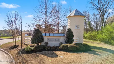 Other - 3524 Williams Brooke Ln, Hernando, MS 38632 photo 10 of 10